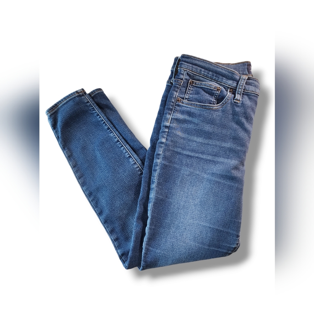 J. Crew 10 Inch High Rise Skinny Jean Womens Size 30